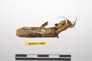  ( - NMMAN11-0865)  @11 [ ] Copyright (2023) Nicolas Moulin Research Collection of Nicolas Moulin