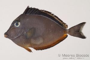  ( - MBIO30.4)  @11 [ ] Unspecified (default): All Rights Reserved  Unspecified Unspecified