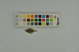  ( - 120614-12-B2)  @11 [ ] CreativeCommons - Attribution Non-Commercial Share-Alike (2017) Unspecified Norwegian Veterinary Institute