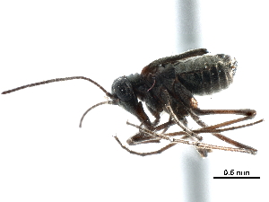  ( - BIOUG35304-G03)  @11 [ ] CreativeCommons - Attribution (2017) Unspecified Centre for Biodiversity Genomics