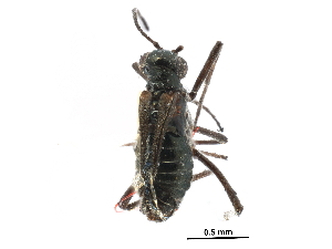  ( - BIOUG35304-G10)  @11 [ ] CreativeCommons - Attribution (2017) Unspecified Centre for Biodiversity Genomics