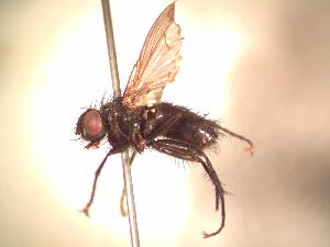  ( - BUIC-AK032)  @13 [ ] Unspecified (default): All Rights Reserved  Unspecified Unspecified