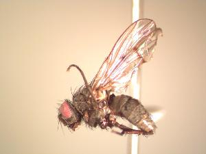  ( - BUIC-AK039)  @12 [ ] Unspecified (default): All Rights Reserved  Unspecified Unspecified