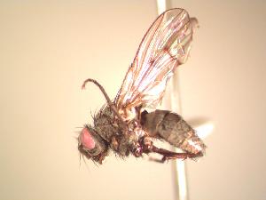  ( - BUIC-AK039)  @12 [ ] Unspecified (default): All Rights Reserved  Unspecified Unspecified