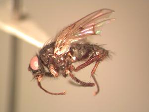  ( - BUIC-AK041)  @12 [ ] Unspecified (default): All Rights Reserved  Unspecified Unspecified