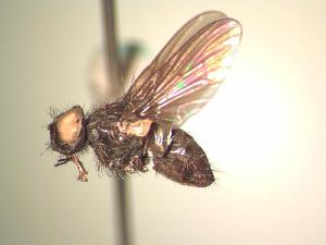  ( - BUIC-AK083)  @12 [ ] Unspecified (default): All Rights Reserved  Unspecified Unspecified
