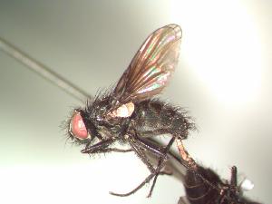  ( - BUIC-AK084)  @12 [ ] Unspecified (default): All Rights Reserved  Unspecified Unspecified