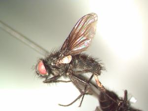  ( - BUIC-AK084)  @12 [ ] Unspecified (default): All Rights Reserved  Unspecified Unspecified
