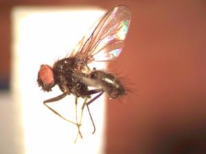  ( - BUIC-AK131)  @12 [ ] Unspecified (default): All Rights Reserved  Unspecified Unspecified