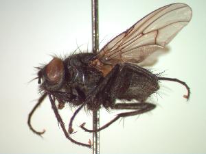  ( - BUIC-CHU0020)  @13 [ ] Unspecified (default): All Rights Reserved  Unspecified Unspecified