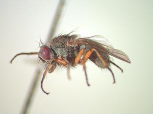 ( - BUIC-CHU0067)  @12 [ ] Unspecified (default): All Rights Reserved  Unspecified Unspecified