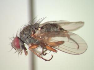  ( - BUIC-CHU0068)  @12 [ ] Unspecified (default): All Rights Reserved  Unspecified Unspecified