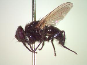  ( - BUIC-CHU0070)  @12 [ ] Unspecified (default): All Rights Reserved  Unspecified Unspecified