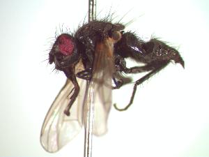  ( - BUIC-CHU0113)  @12 [ ] Unspecified (default): All Rights Reserved  Unspecified Unspecified