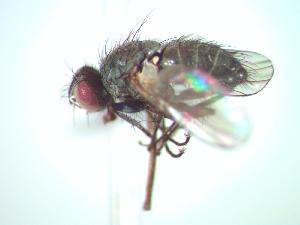  ( - BUIC-CHU0291)  @12 [ ] Unspecified (default): All Rights Reserved  Unspecified Unspecified