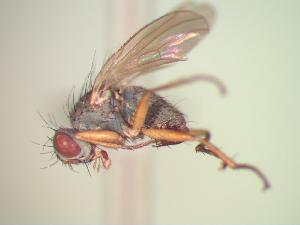  ( - BUIC-CHU0619)  @13 [ ] Unspecified (default): All Rights Reserved  Unspecified Unspecified