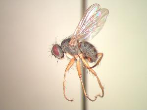  ( - BUIC-CHU0629)  @13 [ ] Unspecified (default): All Rights Reserved  Unspecified Unspecified