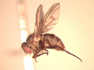  ( - BUIC-CHU0826.failed1)  @13 [ ] Unspecified (default): All Rights Reserved  Unspecified Unspecified