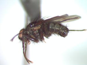  ( - BUIC-CHU0928)  @12 [ ] Unspecified (default): All Rights Reserved  Unspecified Unspecified