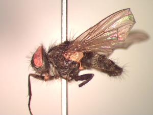  ( - BUIC-CHU1026)  @12 [ ] Unspecified (default): All Rights Reserved  Unspecified Unspecified