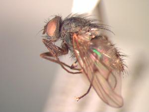  ( - BUIC-CHU1049)  @12 [ ] Unspecified (default): All Rights Reserved  Unspecified Unspecified
