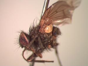  ( - BUIC-CHU1052)  @11 [ ] Unspecified (default): All Rights Reserved  Unspecified Unspecified