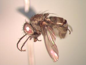  ( - BUIC-CHU1058)  @12 [ ] Unspecified (default): All Rights Reserved  Unspecified Unspecified