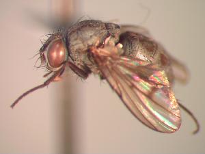  ( - BUIC-CHU823)  @11 [ ] Unspecified (default): All Rights Reserved  Unspecified Unspecified