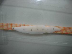  ( - MFL360)  @12 [ ] Unspecified (default): All Rights Reserved  Unspecified Unspecified