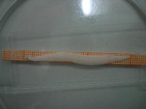 ( - MFL367)  @12 [ ] Unspecified (default): All Rights Reserved  Unspecified Unspecified