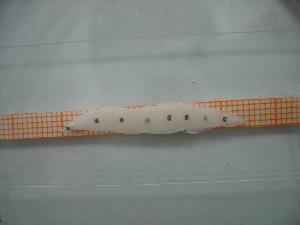  ( - MFL400)  @12 [ ] Unspecified (default): All Rights Reserved  Unspecified Unspecified