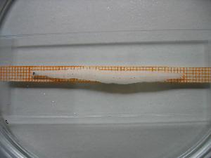  ( - MFL415)  @12 [ ] Unspecified (default): All Rights Reserved  Unspecified Unspecified