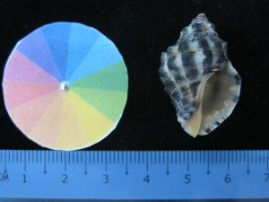  ( - J_20_RECLA)  @11 [ ] Copyright (2017) Firdaus Unspecified