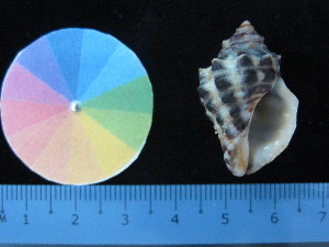  ( - J_19_RECLA)  @11 [ ] Copyright (2017) Firdaus Unspecified