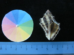  ( - J_15_RECLA)  @11 [ ] Copyright (2017) Firdaus Unspecified