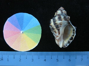  ( - J_14_RECLA)  @11 [ ] Copyright (2017) Firdaus Unspecified