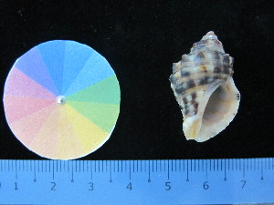  ( - J_12_RECLA)  @11 [ ] Copyright (2017) Firdaus Unspecified