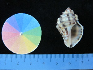  ( - J_7_RECLA)  @11 [ ] Copyright (2017) Firdaus Unspecified