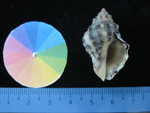  ( - J_6_RECLA)  @11 [ ] Copyright (2017) Firdaus Unspecified