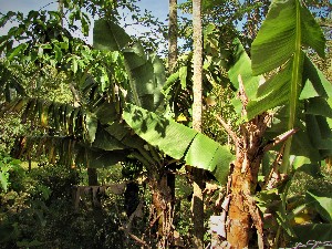  ( - veg037)  @11 [ ] Unspecified (default): All Rights Reserved  Unspecified Unspecified