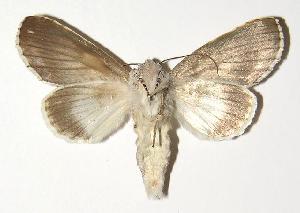  ( - 01-SRNP-22831)  @14 [ ] CreativeCommons - Attribution Non-Commercial Share-Alike (2005) Daniel H. Janzen Guanacaste Dry Forest Conservation Fund