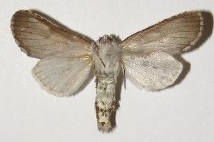  ( - 03-SRNP-12716)  @14 [ ] CreativeCommons - Attribution Non-Commercial Share-Alike (2005) Daniel H. Janzen Guanacaste Dry Forest Conservation Fund