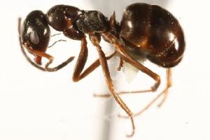  ( - CHU06-ANT-065)  @14 [ ] Unspecified (default): All Rights Reserved  Unspecified Unspecified