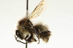  ( - CHU06-BEE-025)  @14 [ ] Unspecified (default): All Rights Reserved  Unspecified Unspecified