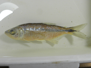  ( - MHNM50091)  @11 [ ] Unspecified (default): All Rights Reserved  Unspecified Unspecified