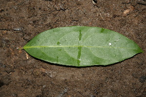  ( - BioBot00151)  @11 [ ] Copyright (2010) Unspecified Unspecified