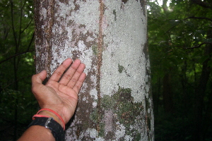  ( - BioBot00298)  @11 [ ] Copyright (2010) Unspecified Unspecified