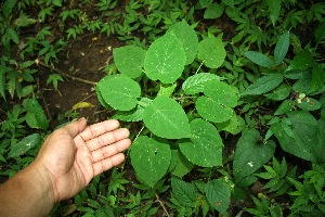  ( - BioBot00328)  @11 [ ] Copyright (2010) Unspecified Unspecified