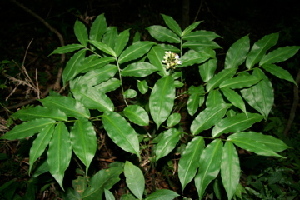  ( - BioBot00378)  @11 [ ] Copyright (2010) Unspecified Unspecified