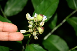  ( - BioBot00378)  @11 [ ] Copyright (2010) Unspecified Unspecified
